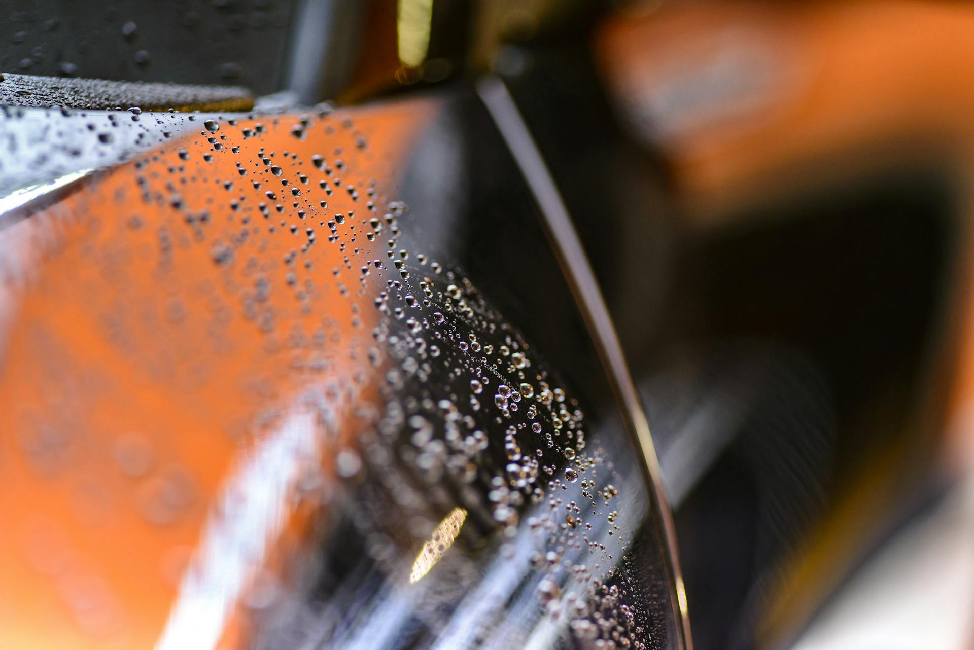 Water beading tightly on a freshly protected paint surface — coating doing its job.
